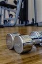 Pair of Dumbells in a Sport Fitness Room