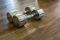 Pair of Dumbells in a Sport Fitness Room