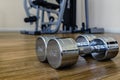 Pair of Dumbells in a Sport Fitness Room