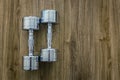 Pair of Dumbells in a Sport Fitness Room