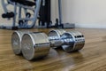 Pair of Dumbells in a Sport Fitness Room