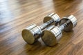 Pair of Dumbells in a Sport Fitness Room