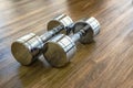 Pair of Dumbells in a Sport Fitness Room