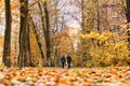 Pair of elderly people are walking along the autumn road in the park