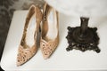 Pair of elegant and stylish bridal shoes