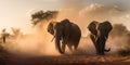 Pair of elephants wandering through the steppe