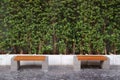 Pair of empty distancing benches in front of green hedge plants in a park