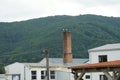 Pair of European white stork on factory chimney of old industrial building Royalty Free Stock Photo