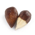 Pair of Exotic Salak Palm Fruit Royalty Free Stock Photo