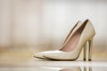 Pair of fashionable comfortable high heel leather beige female shoes isolated on light copy space background. Style and fashion,