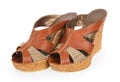 A pair of female leather platform sandals