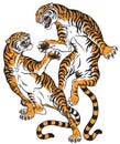 Pair of fighting tigers tattoo Royalty Free Stock Photo