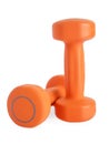 Pair of fitness dumbbells isolated