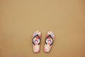A pair of flip flops on the beach sand, Summer back concept. Royalty Free Stock Photo