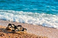 A pair of flip-flops left on the shore Royalty Free Stock Photo
