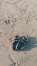 A Pair of Flip Flops or Sandals on the Clear Sand Beach Royalty Free Stock Photo