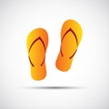 Pair of flip-flops on a white background Royalty Free Stock Photo