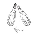 Pair of flippers, hand drawn doodle sketch with inscription, isolated vector illustration