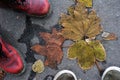 Pair of foot shoes on a background asphalt and leaves