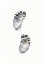 Pair of footprints are shown in the air with powder on them. Generative AI