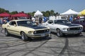 Pair of ford mustang mach1
