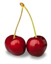 Pair fresh cherries on white with clipping path Royalty Free Stock Photo