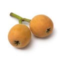 Pair of fresh picked loquats