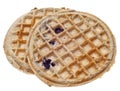 Pair of Frozen Blueberry Whole Grain Waffles Royalty Free Stock Photo