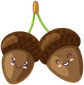 Pair of funny acorns kawaii concept over white background, cute smiling faces with positive emotions