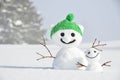 Pair of funny snowmen