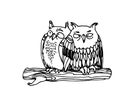 A pair of funny young owls sitting on a branch, night birds, black ink lines