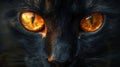 A pair of glowing eyes peering out from the depths of a murky shadow their elusive owner remaining hidden and enigmatic