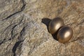 Pair of gold eggs exposed and vulnerable on sunlit rock