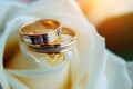 Pair of gold rings on rosebud, close up. Two golden wedding rings laying on light beige roses, blurred background, soft focus Royalty Free Stock Photo