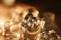 pair of gold wedding rings on ice cubes sparkle and reflection Royalty Free Stock Photo