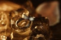 pair gold wedding rings ice cubes sparkle reflection Royalty Free Stock Photo