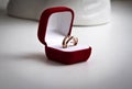 Pair of gold wedding rings in a red velvet box