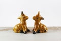 Pair of golden brown horse/donkey salt and pepper shakers on white background. Royalty Free Stock Photo