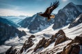 A golden eagles soaring high above rugged mountain peaks, their keen eyes scanning the vast wilderness below Royalty Free Stock Photo