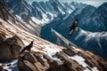 A pair of golden eagles soaring high above rugged mountain peaks, their keen eyes scanning the vast wilderness below Royalty Free Stock Photo