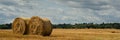 a pair of golden straw round bales in the foreground on a field with post-harvest stubble and a forest belt in the background Royalty Free Stock Photo