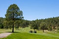 Pair of golf carts on an Arizona course Royalty Free Stock Photo