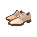 A pair of golf shoes cartoon icon