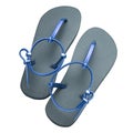Pair of gray and blue slippers isolated Royalty Free Stock Photo