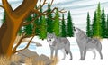 A pair of gray wolves on a snowy field. Winter realistic