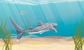 A pair of great whale Rhincodon sharks swim near the sandy seabed with green algae