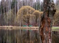 Two benches and trees by the lake Royalty Free Stock Photo