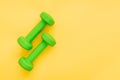 Pair of green feminine dumbbells on yellow background. Healthy lifestyle, body slimming concept. Empty space for text.