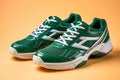 Pair of green running shoes, Sport concept Royalty Free Stock Photo