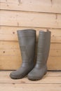 Pair of Gumboots Royalty Free Stock Photo